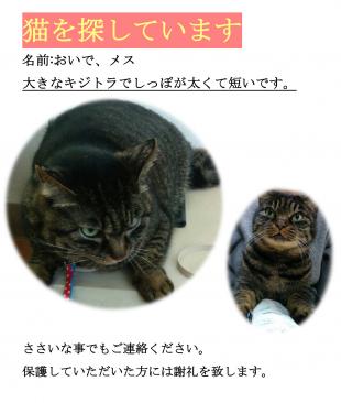 おいで