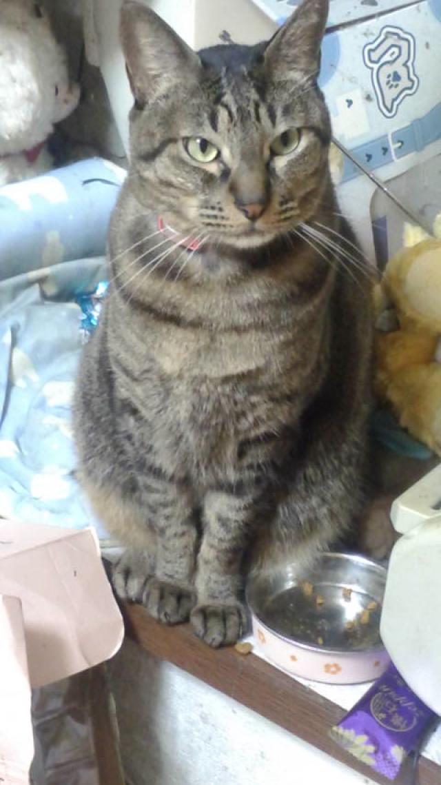 ノワール