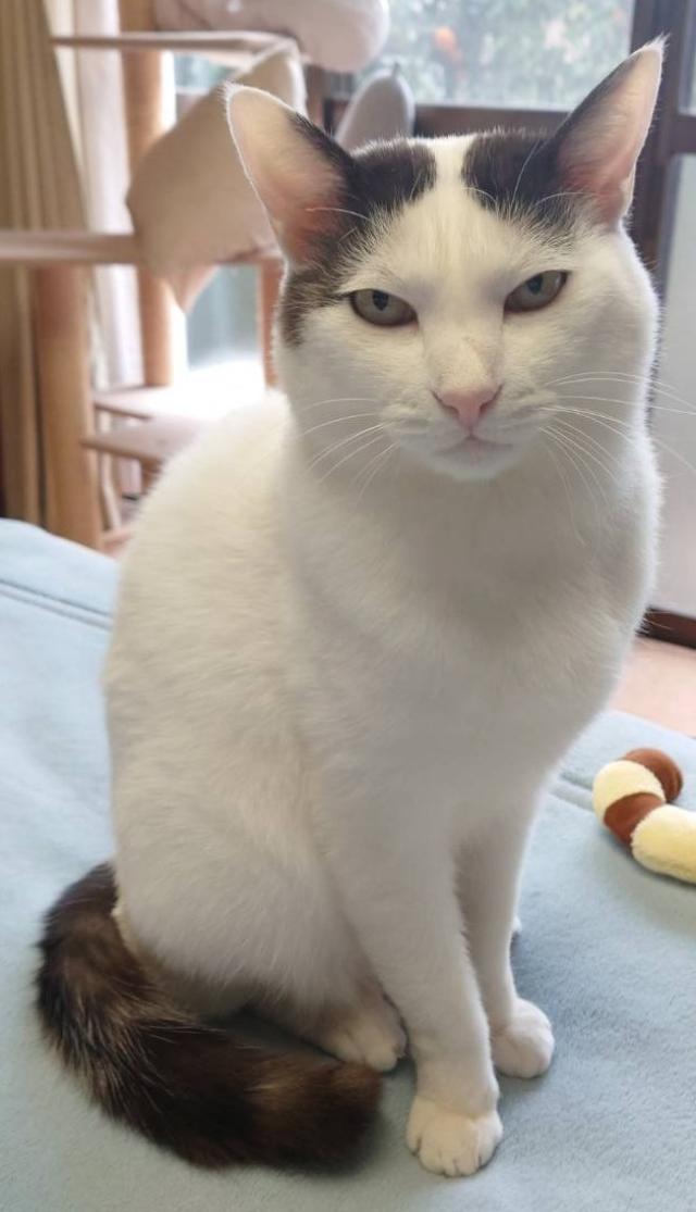 びぃ