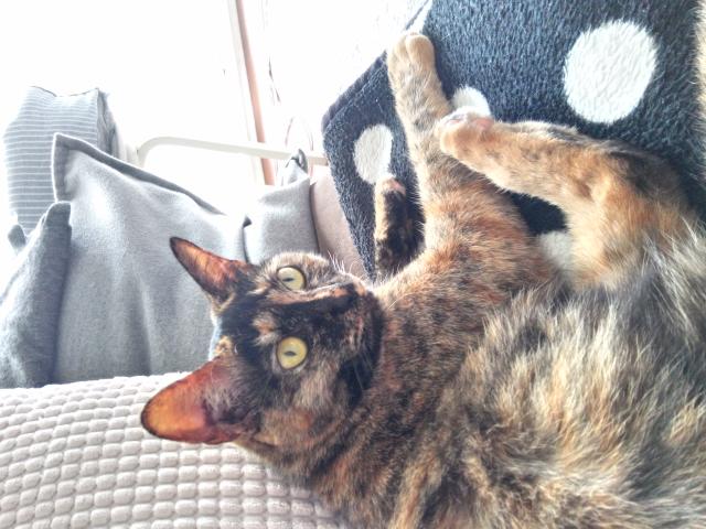 おサビ
