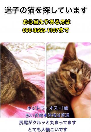 ナルト