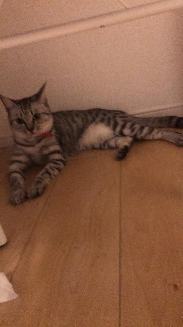 しおみ