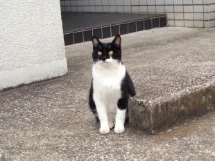 アーちゃん