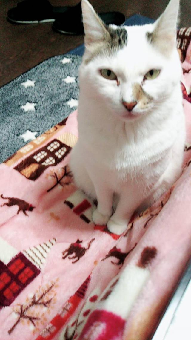 りり