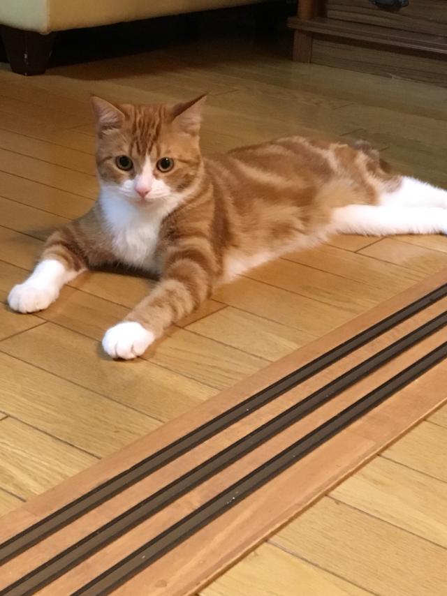 りん