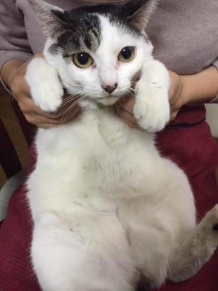 くう