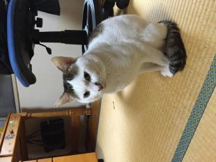 みーちゃん