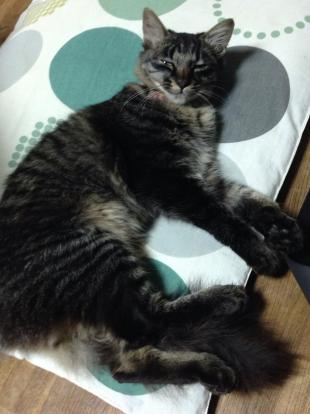 ちぃ