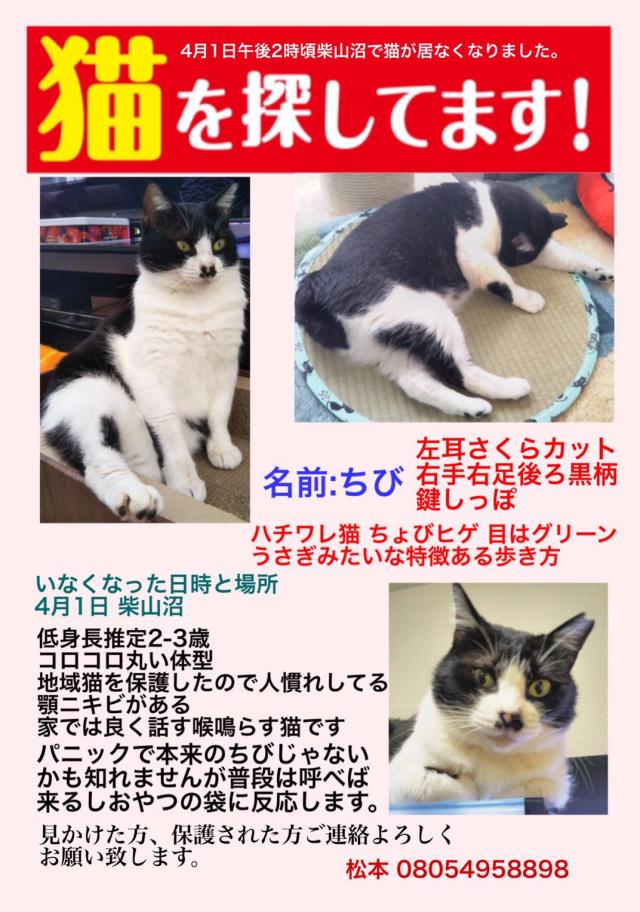 ちび