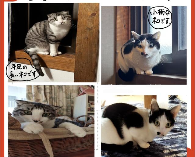 うっちいとしまじろう