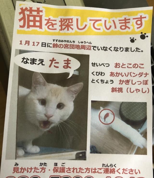 たま