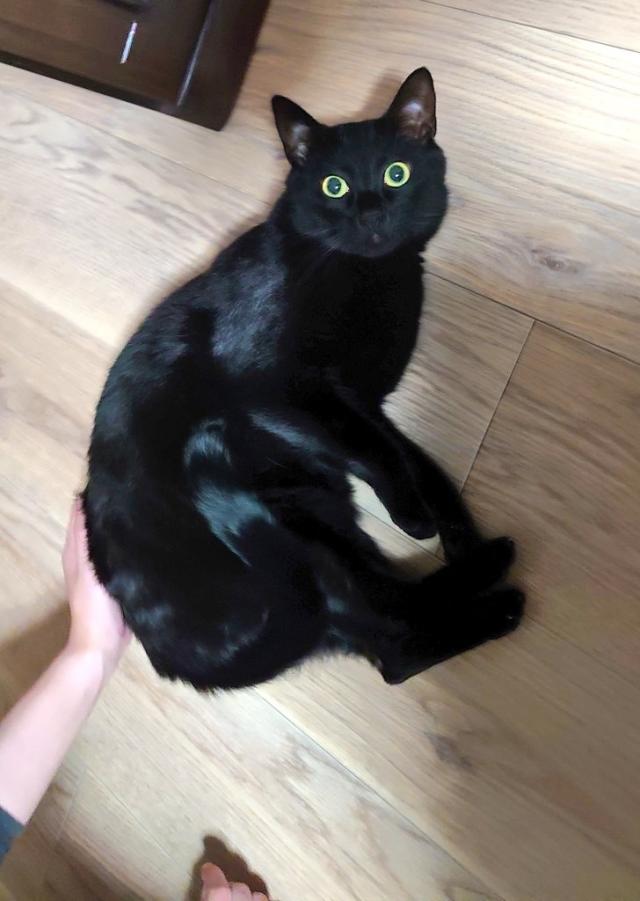 きり