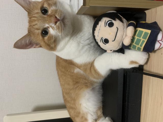 ちゃこ