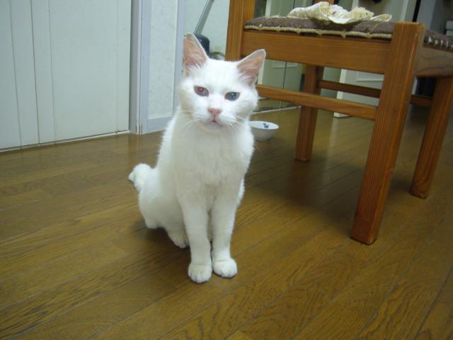 しぃ
