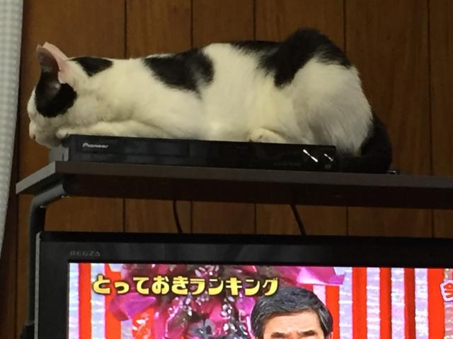 くう