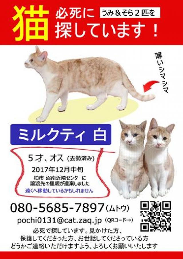そら＆うみ