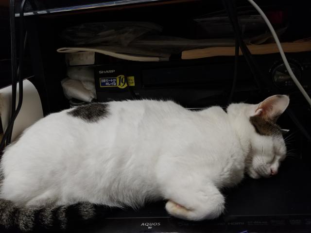 どら