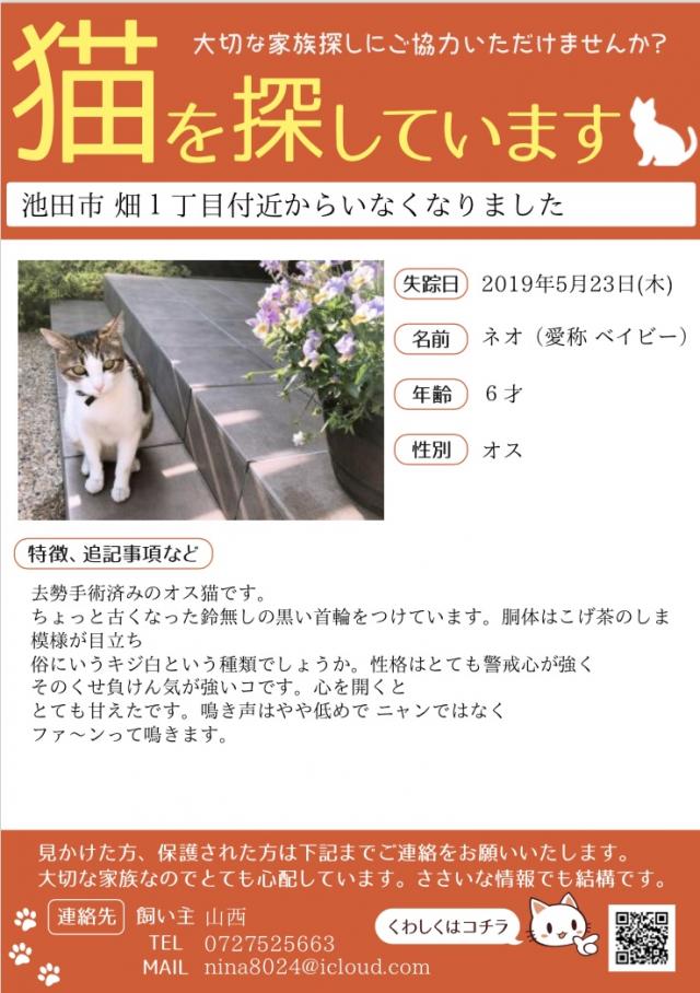 ネオ