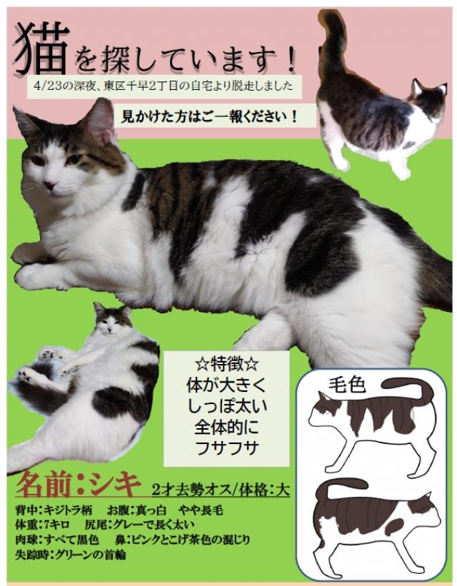 シキ