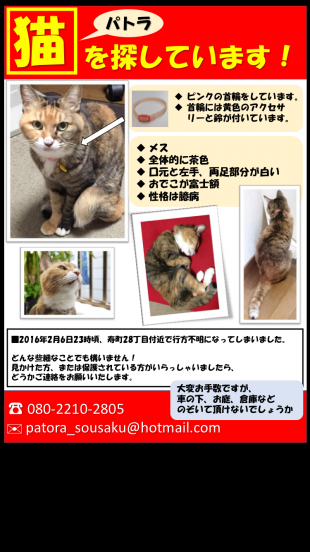 パトラ