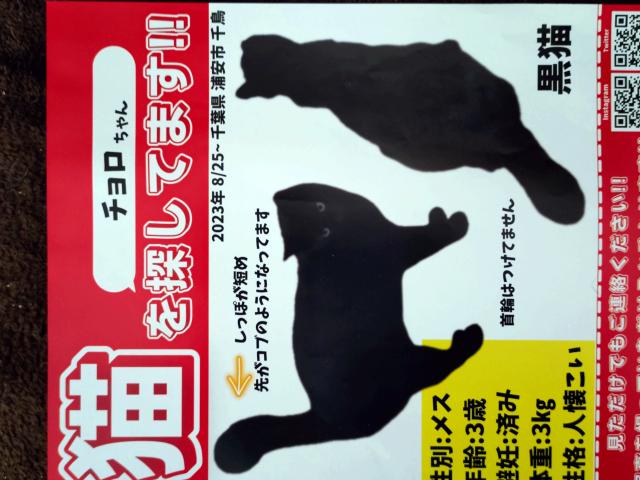 チョロ