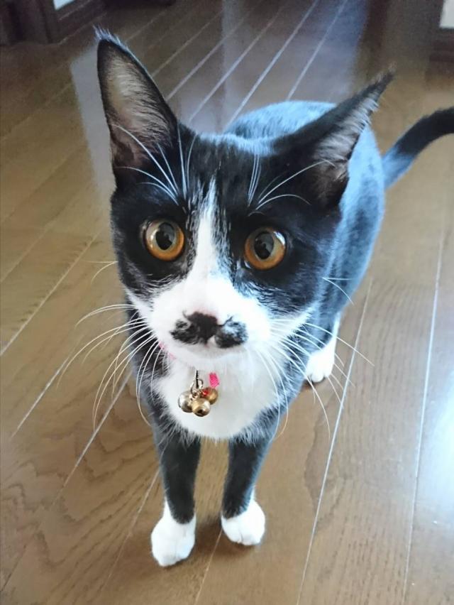 ティー