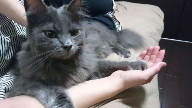 つくば