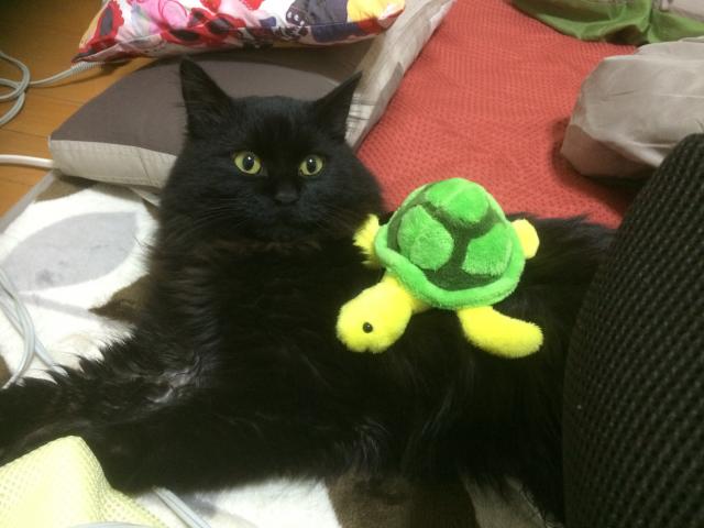 クロ