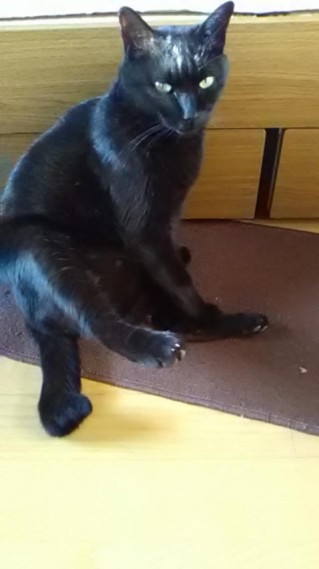 わか
