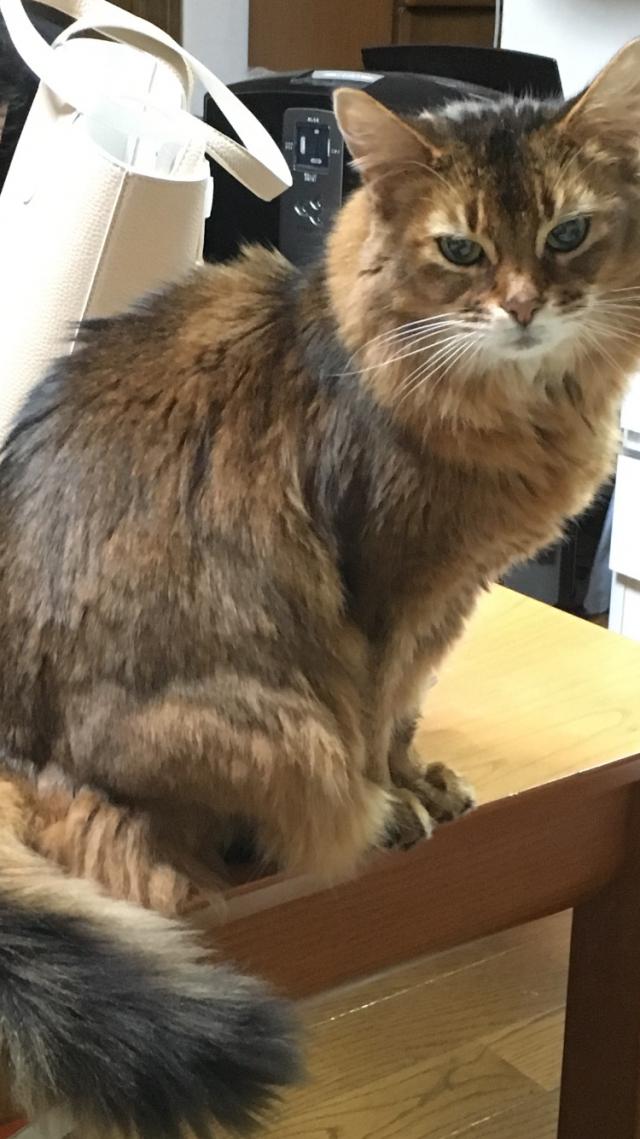 ルー