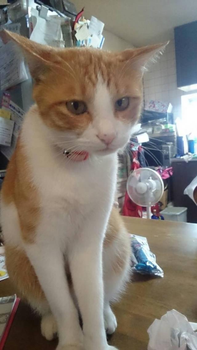 マル