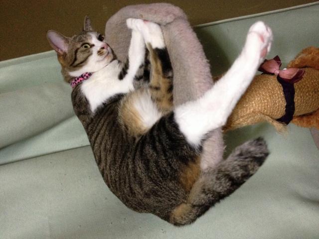 もぐ