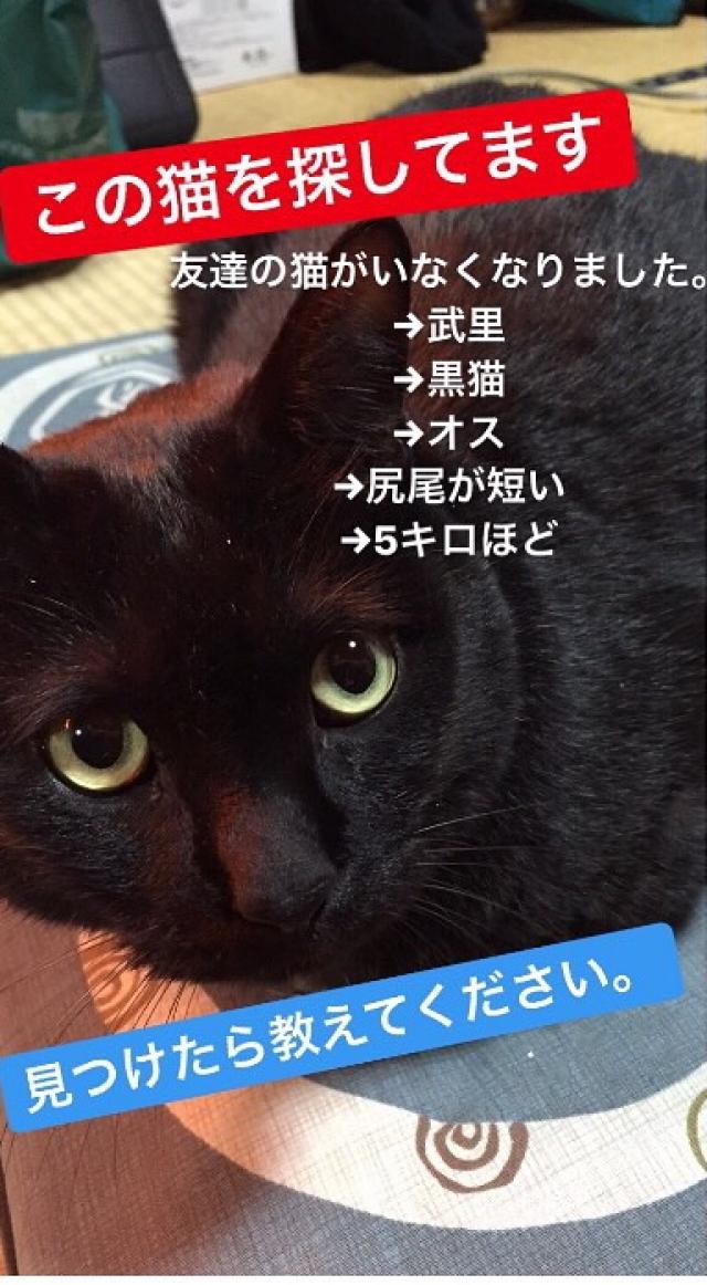 くま