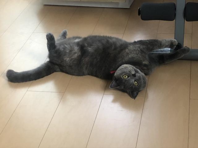 えま