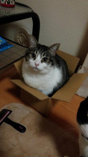 みーさん