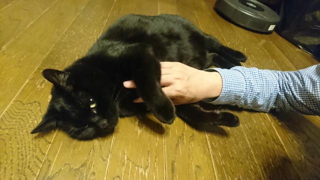 しんた、しん、しんちゃん