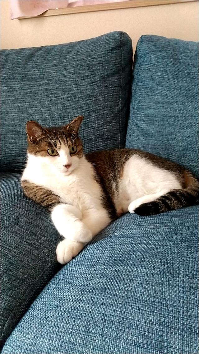 ユキ