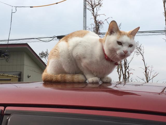 ナミ