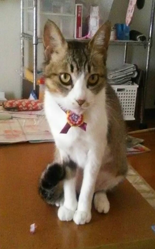 マル
