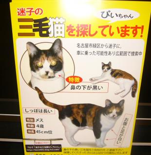 びぃちゃん