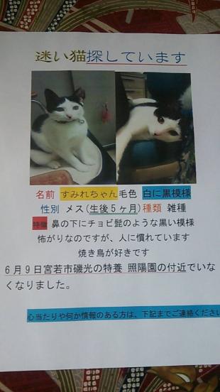 すみれ