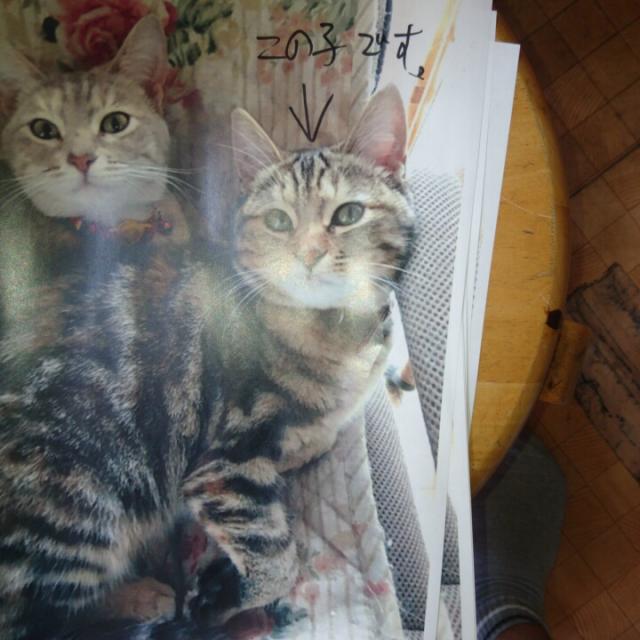 なっちゃん