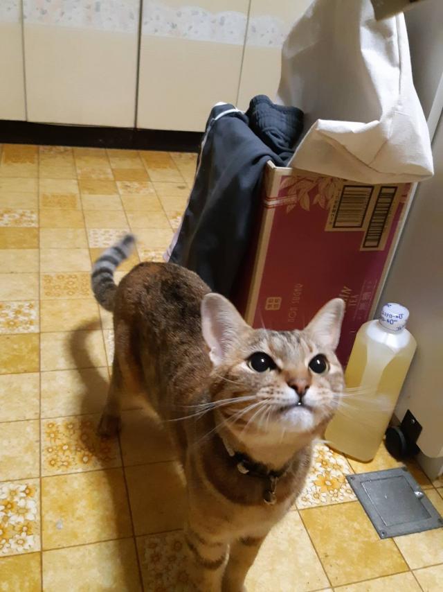 うめ