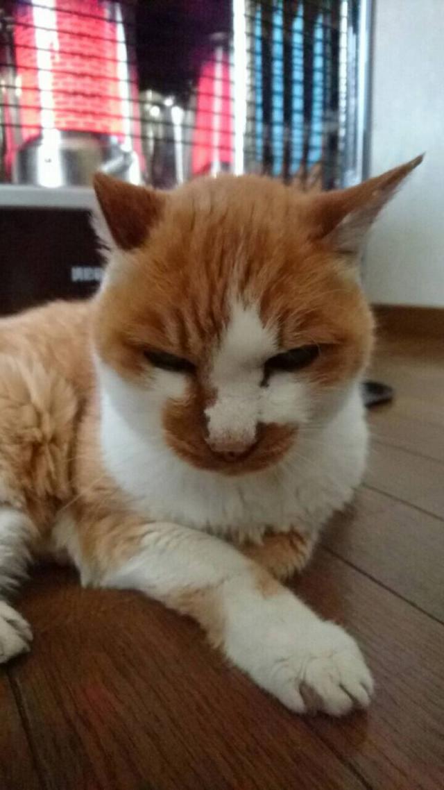 ツー