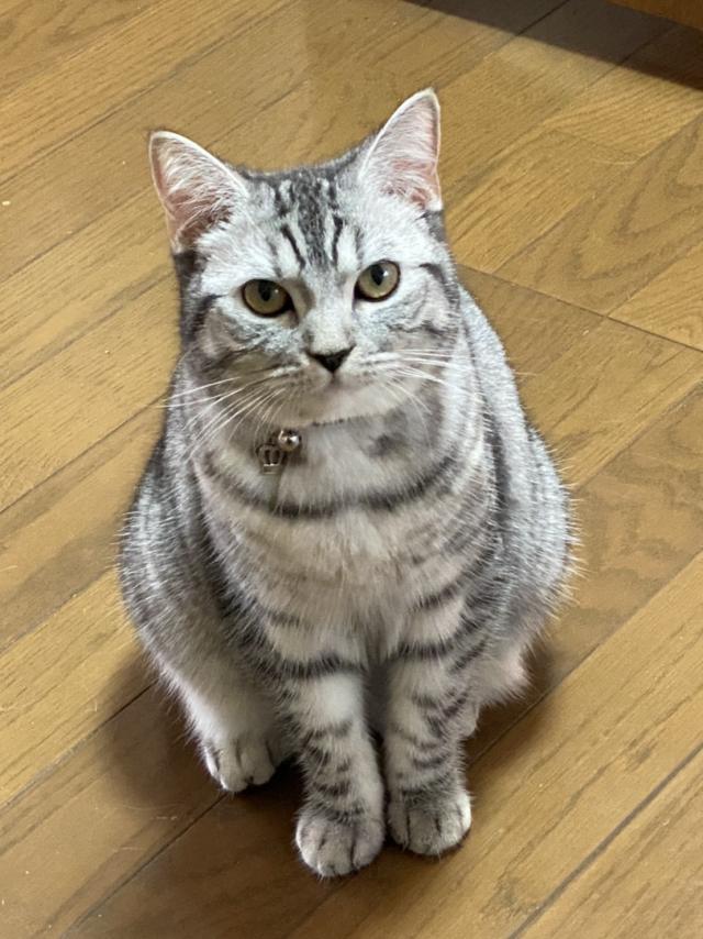 ルネ