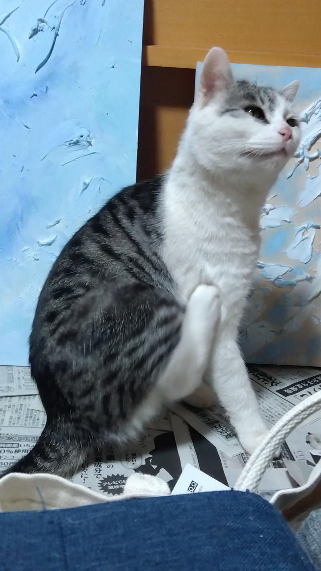 しま