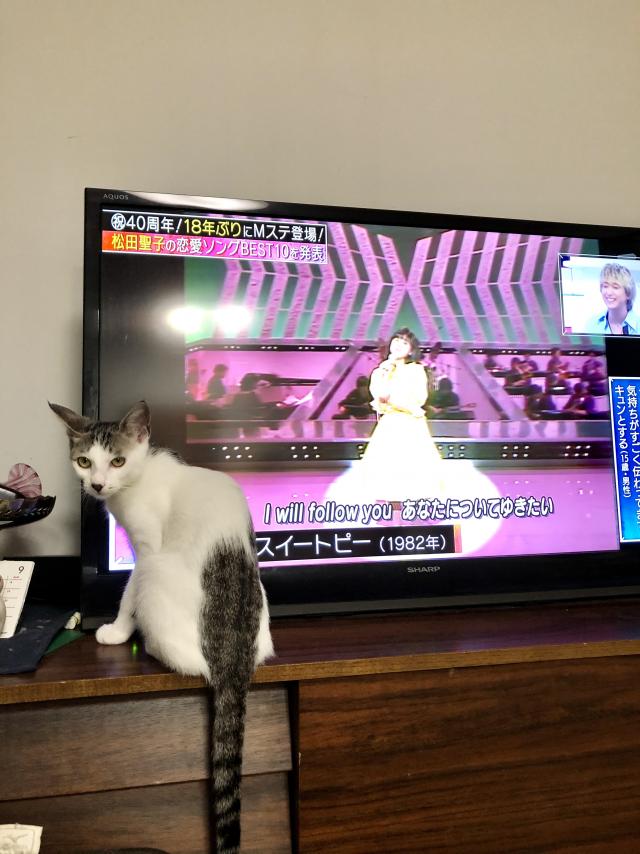 くるみ