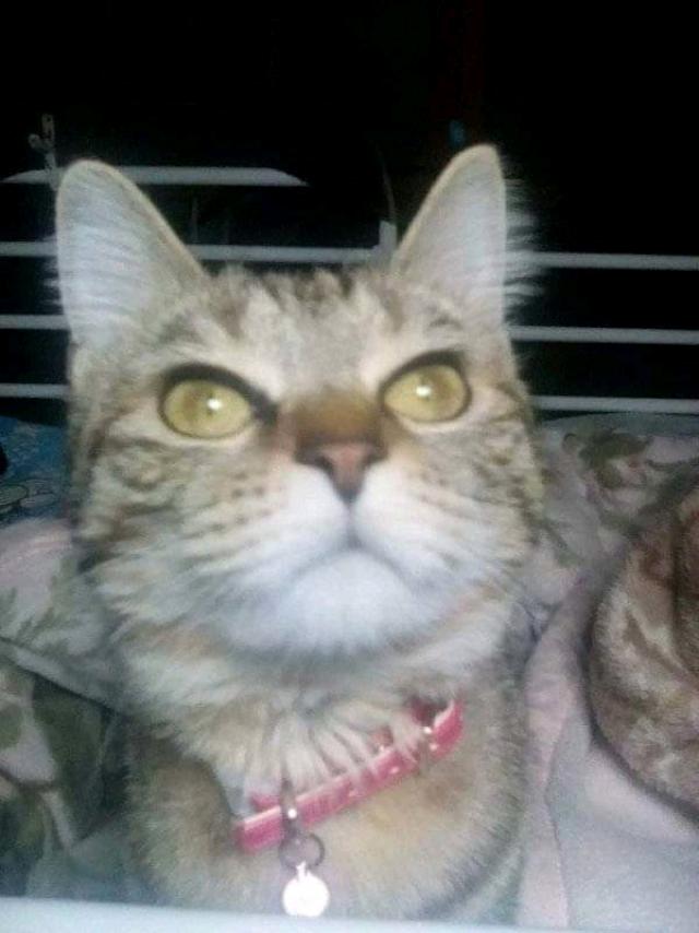 むぎ