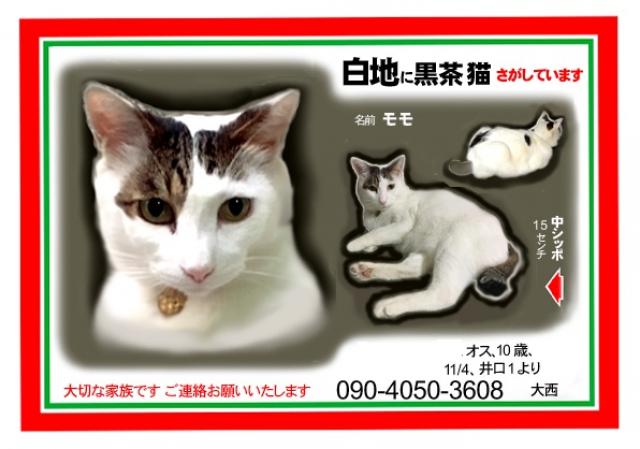 桃太郎（モモ）