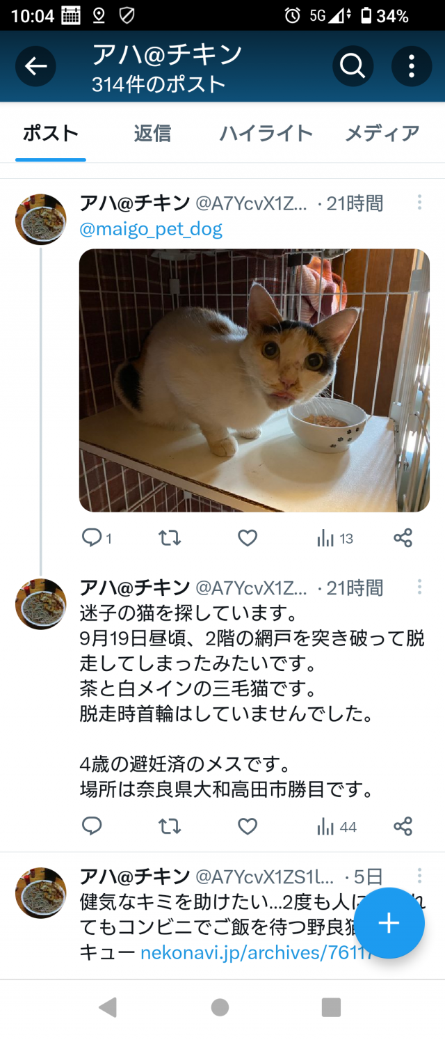 ミカ